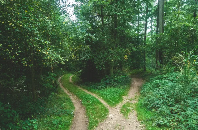 Optimising for the Long Game: Methodological Challenges in Energy System Optimisation Pathways